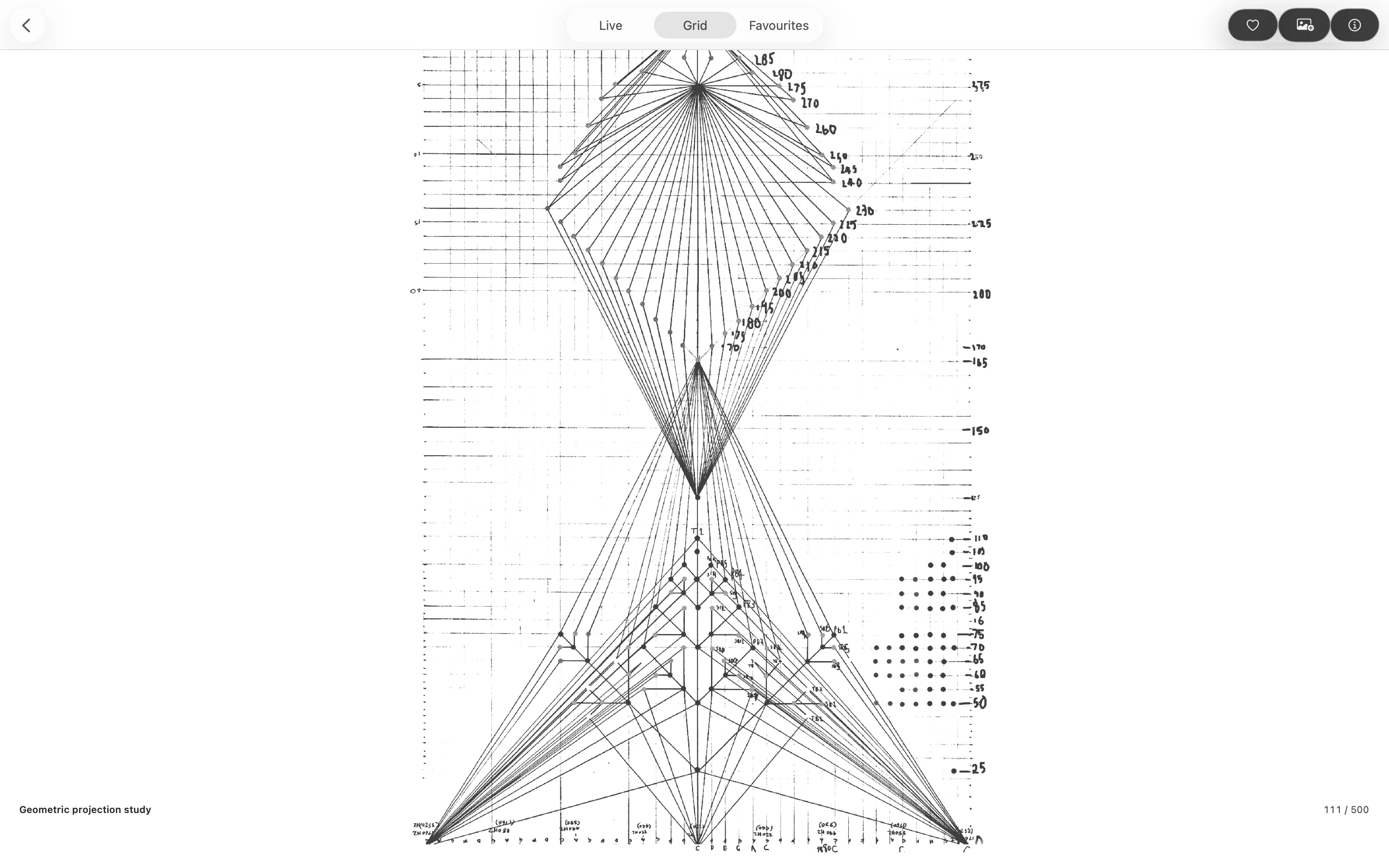New Polygon grid view showing Geometric projection study