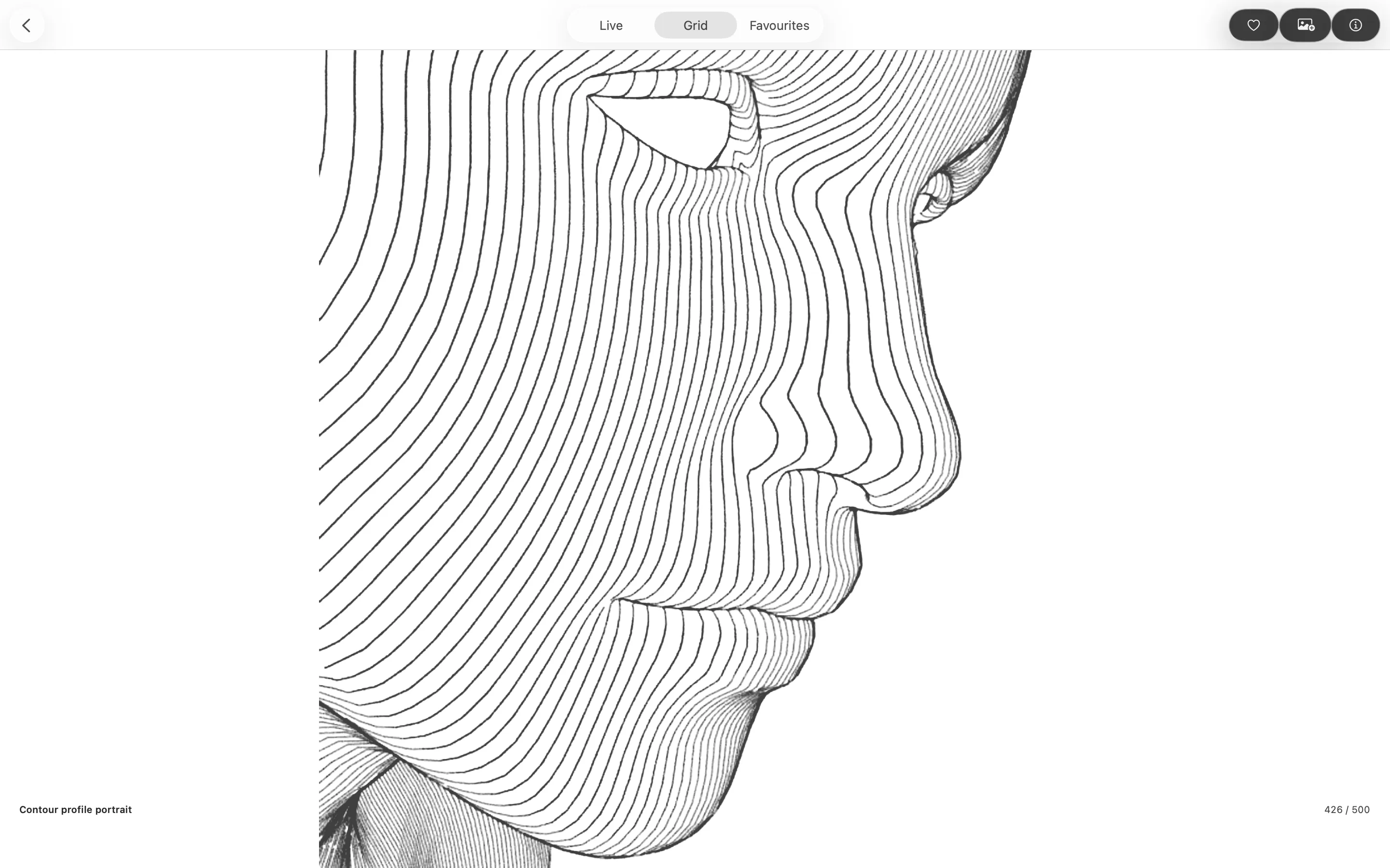 New Polygon grid view showing Contour profile portrait