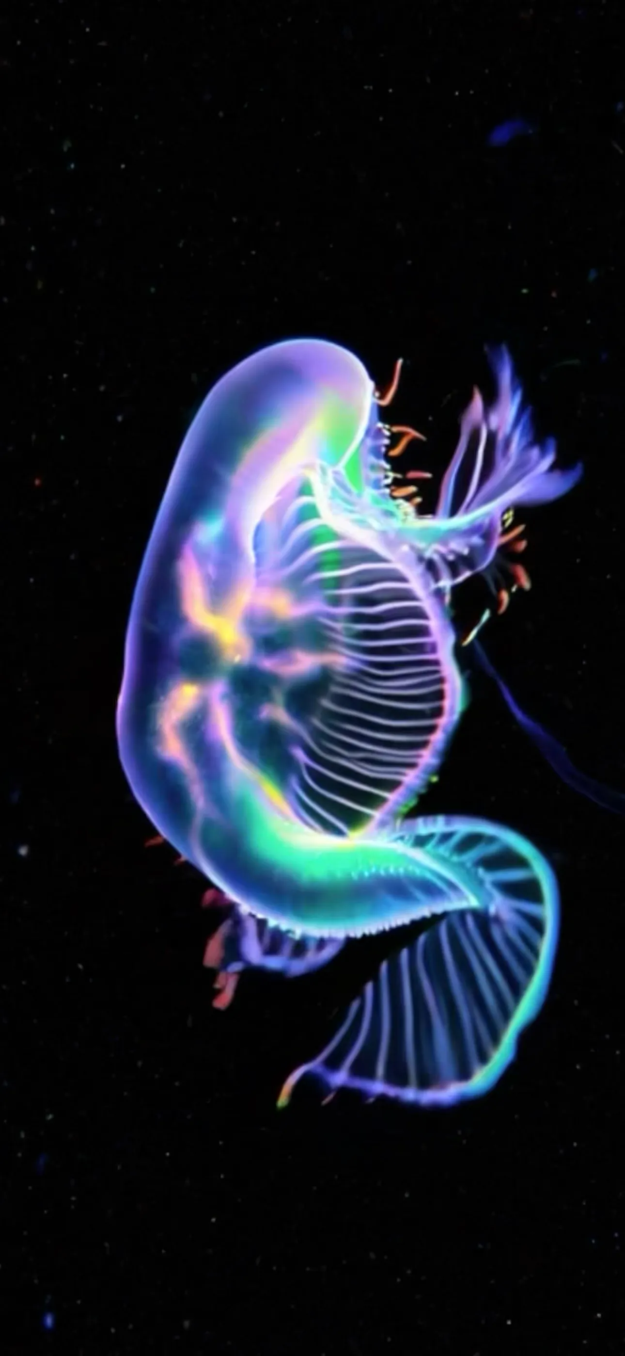 Life on Io screenshot