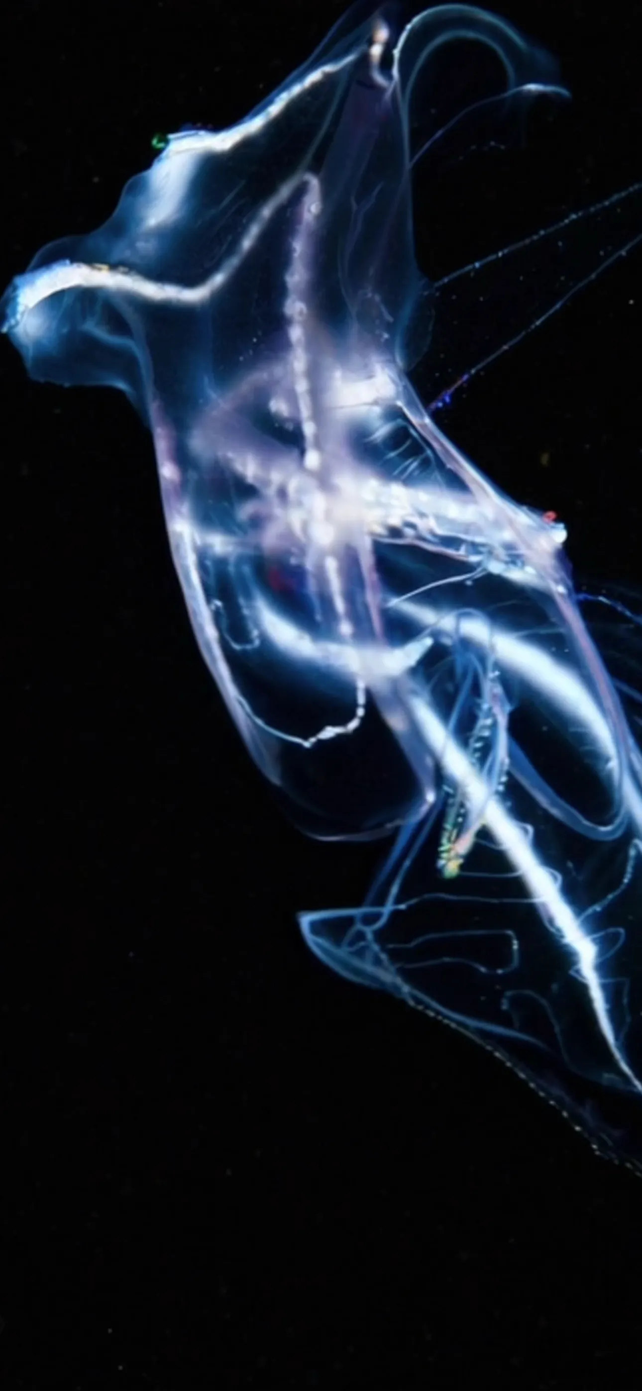 Life on Io screenshot