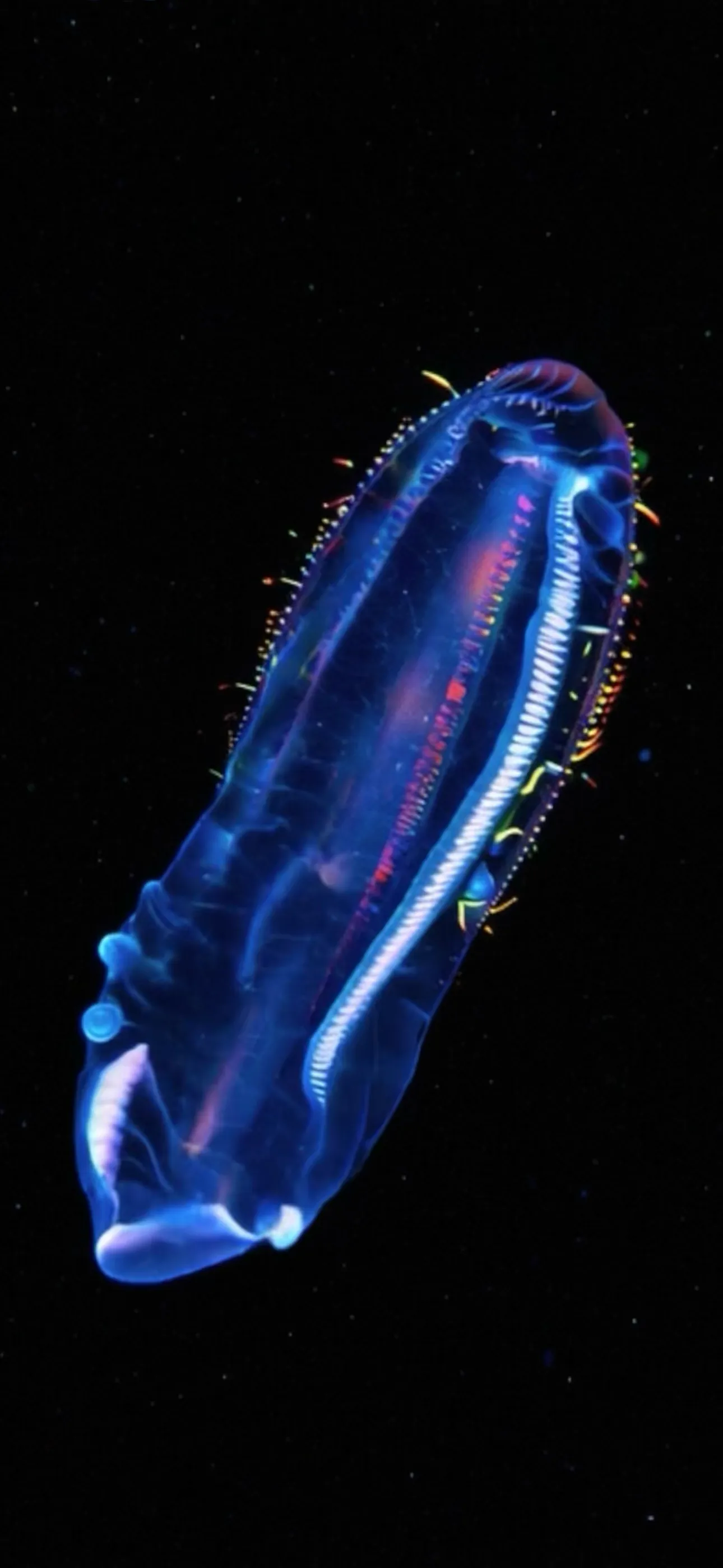 Life on Io screenshot